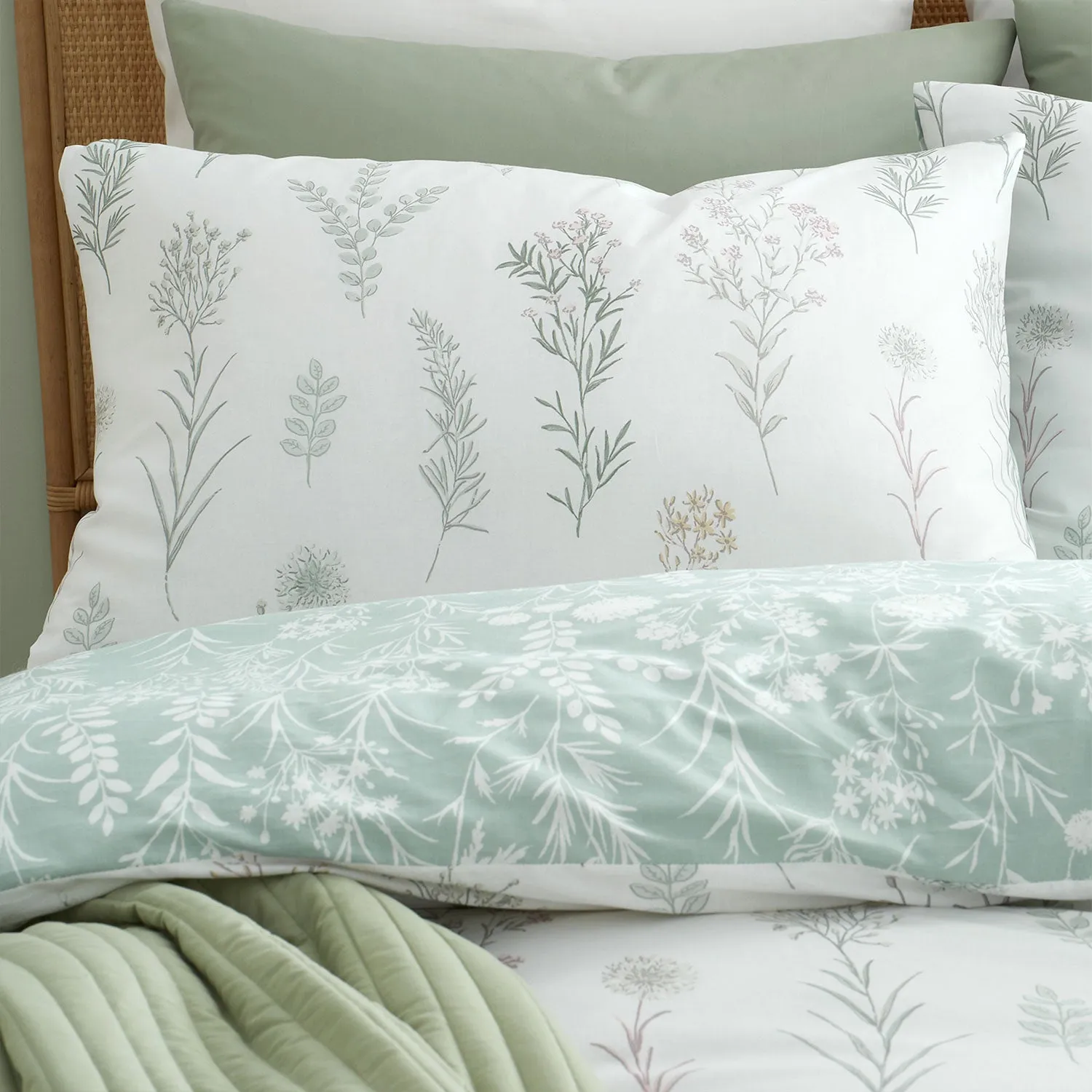 Bianca Wild Flowers 200TC Cotton Duvet Set