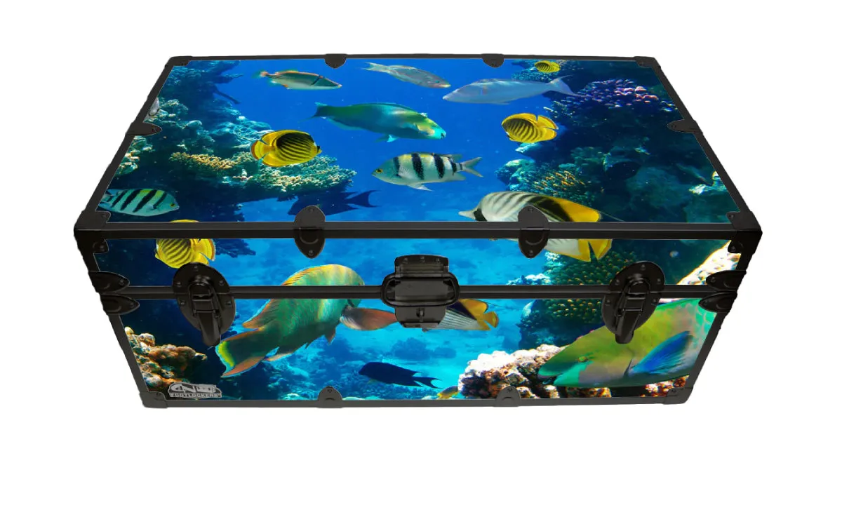 Designer Trunk - Aquarium - 32x18x13.5"