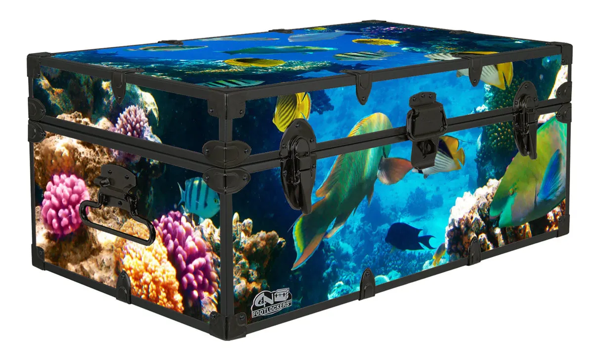 Designer Trunk - Aquarium - 32x18x13.5"