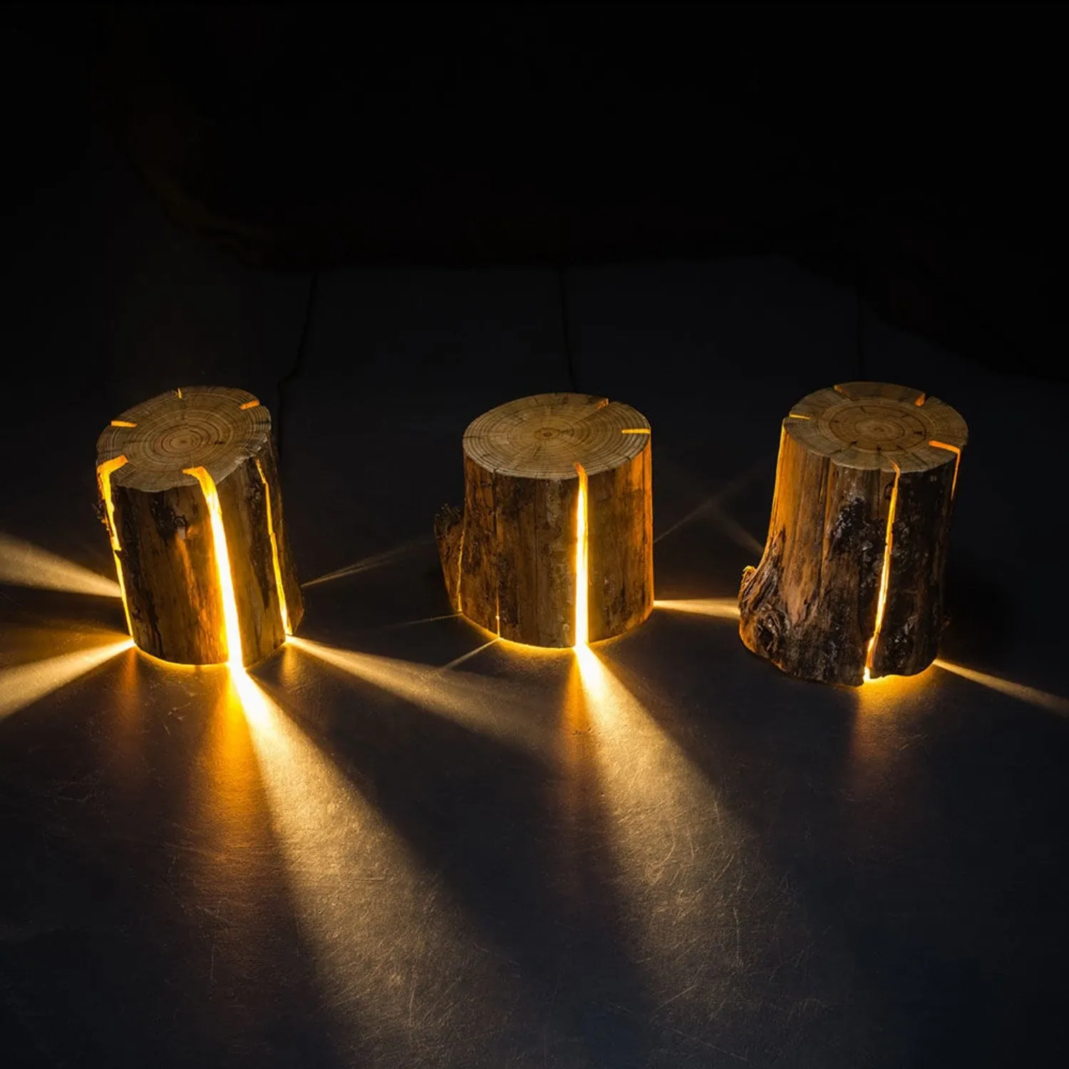 duncan meerding | cracked log lamp