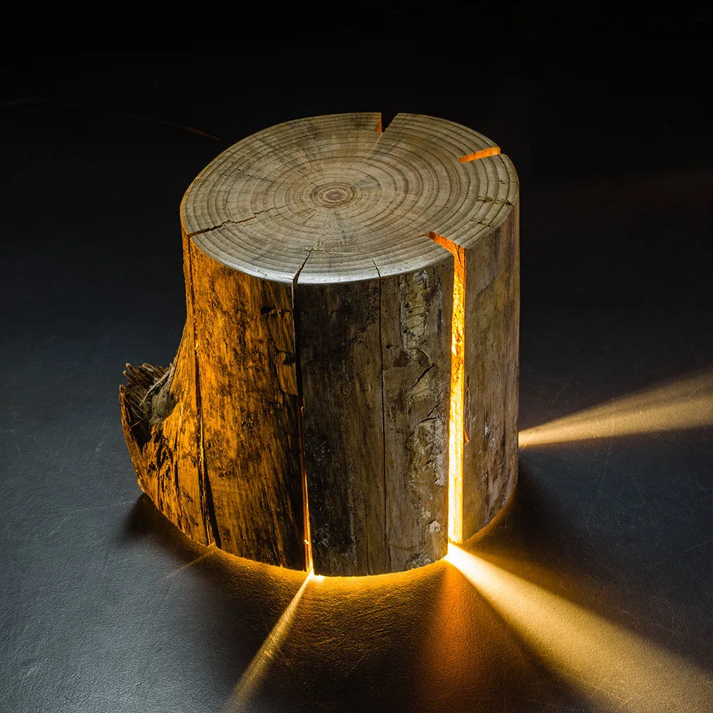 duncan meerding | cracked log lamp