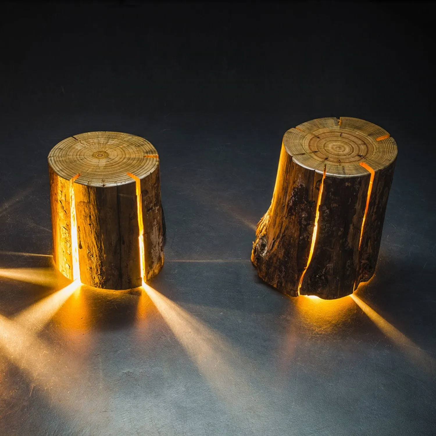 duncan meerding | cracked log lamp