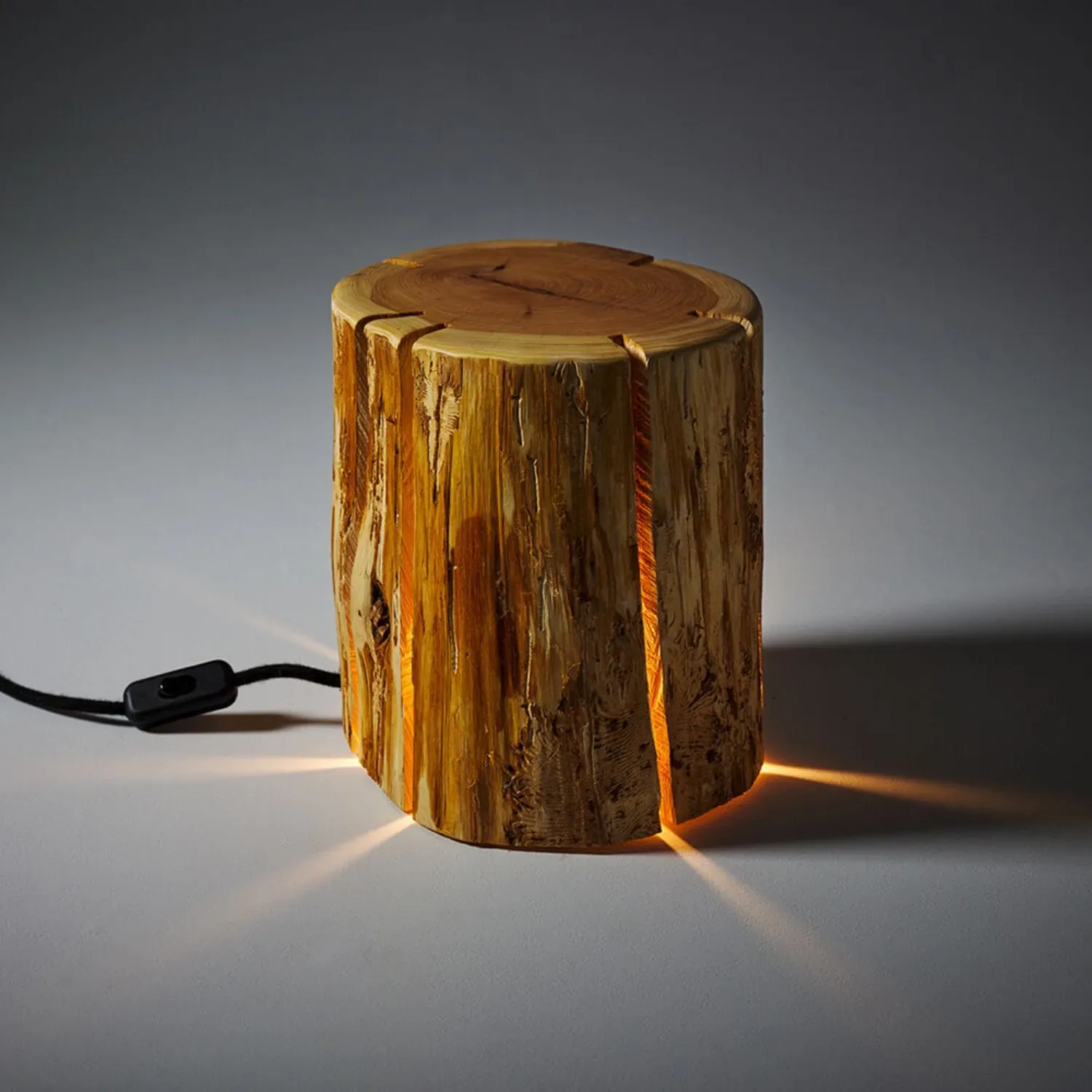 duncan meerding | cracked log lamp