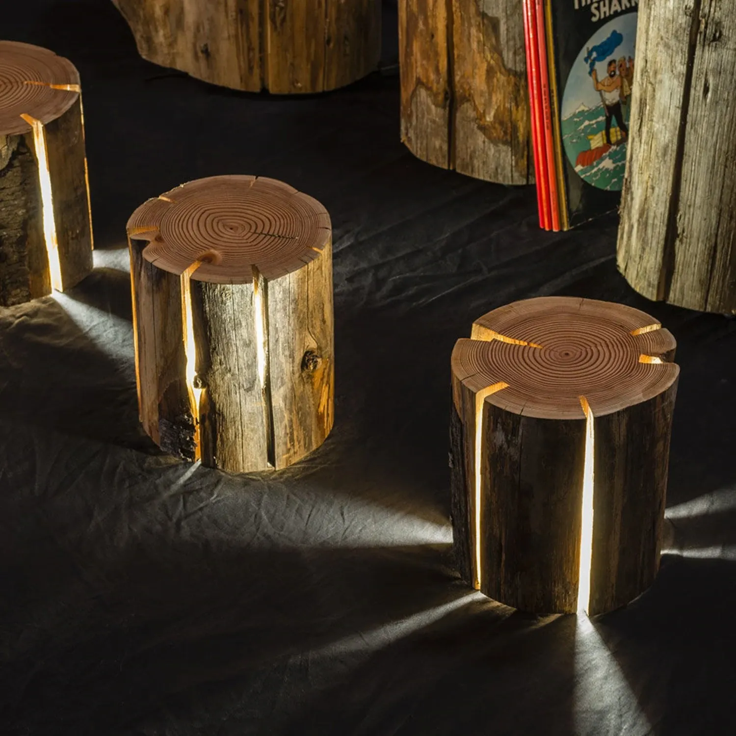 duncan meerding | cracked log lamp