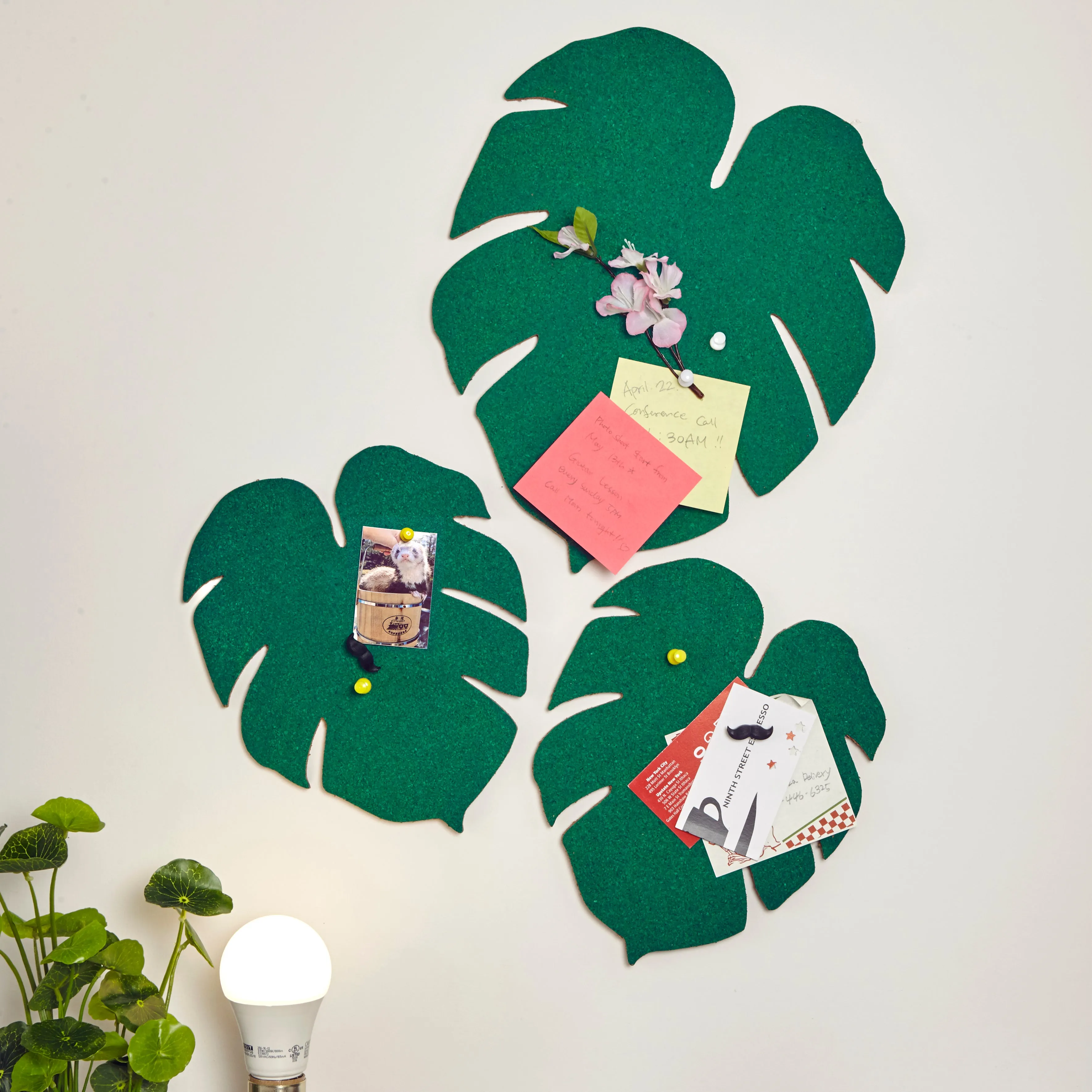 Monstera Leaf Corkboards