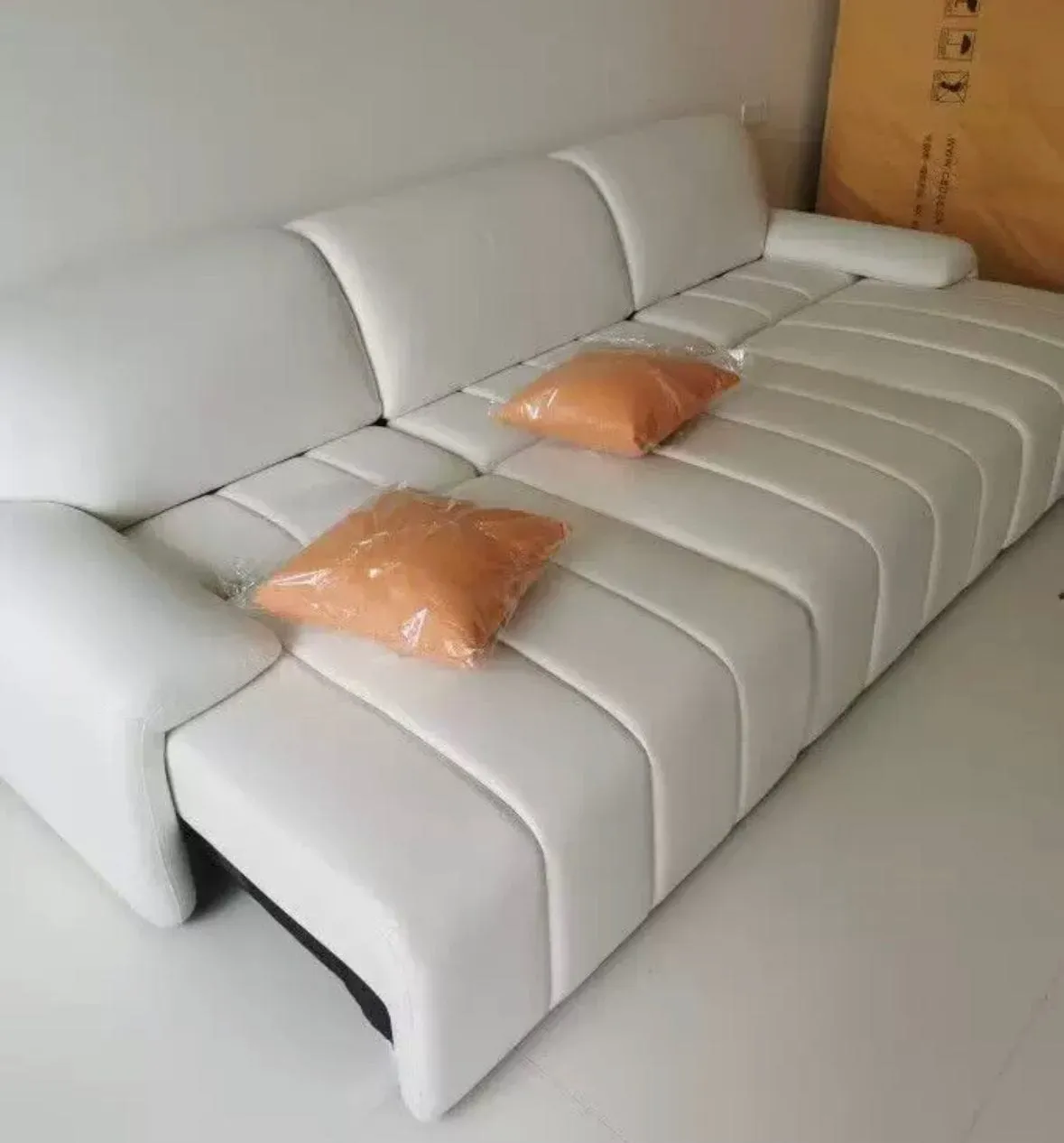 Roy Electric Leather Sofa Bed